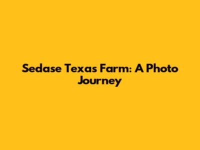 Sedase Texas Farm: A Photo Journey