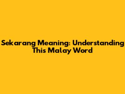 Sekarang Meaning: Understanding This Malay Word