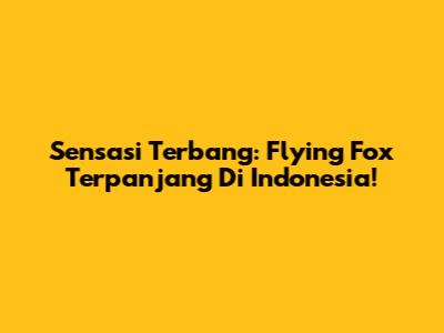 Sensasi Terbang: Flying Fox Terpanjang Di Indonesia!
