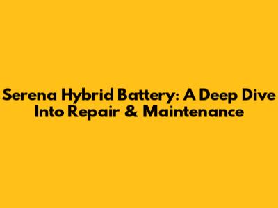 Serena Hybrid Battery: A Deep Dive Into Repair & Maintenance