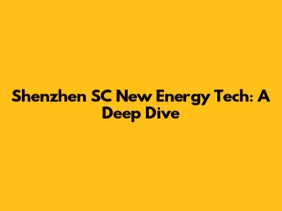 Shenzhen SC New Energy Tech: A Deep Dive