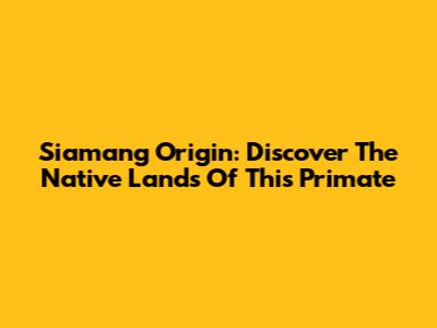 Siamang Origin: Discover The Native Lands Of This Primate