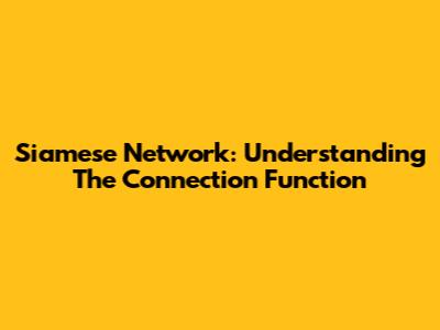 Siamese Network: Understanding The Connection Function