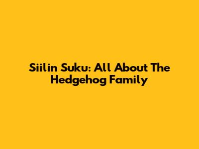 Siilin Suku: All About The Hedgehog Family