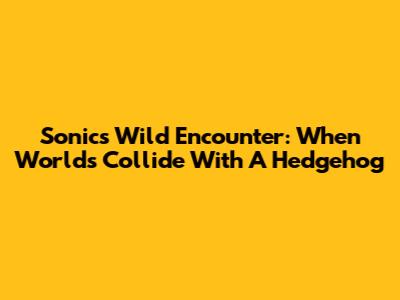 Sonic's Wild Encounter: When Worlds Collide With A Hedgehog