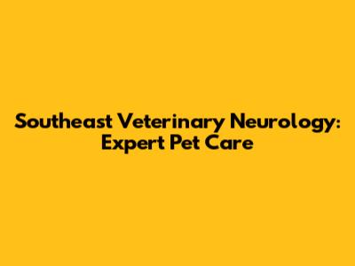 Southeast Veterinary Neurology: Expert Pet Care