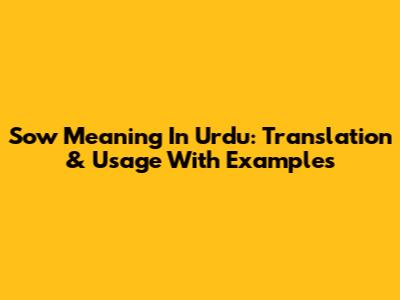 Sow Meaning In Urdu: Translation & Usage With Examples
