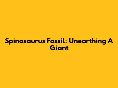 Spinosaurus Fossil: Unearthing A Giant
