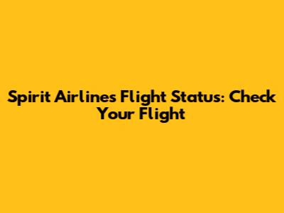 Spirit Airlines Flight Status: Check Your Flight