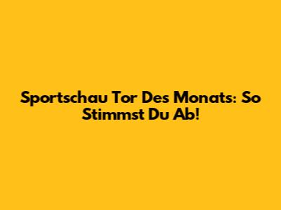 Sportschau Tor Des Monats: So Stimmst Du Ab!