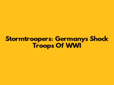 Stormtroopers: Germany's Shock Troops Of WWI