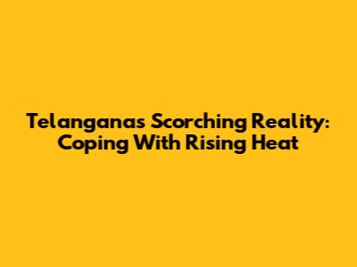 Telangana's Scorching Reality: Coping With Rising Heat