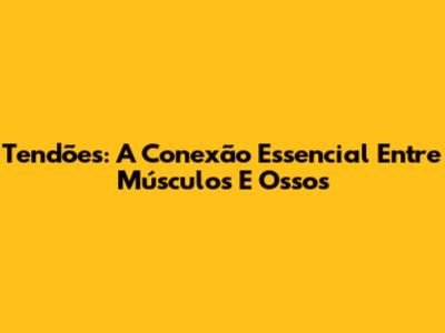 Tendões: A Conexão Essencial Entre Músculos E Ossos