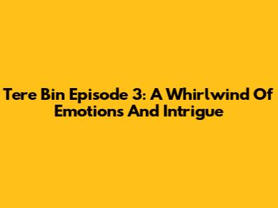 Tere Bin Episode 3: A Whirlwind Of Emotions And Intrigue