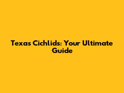 Texas Cichlids: Your Ultimate Guide
