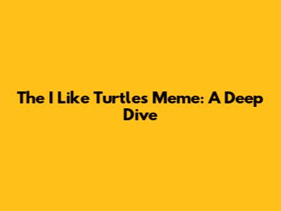 The "I Like Turtles" Meme: A Deep Dive