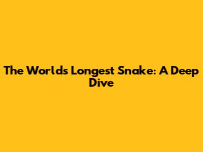 The World's Longest Snake: A Deep Dive