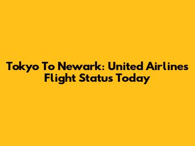 Tokyo To Newark: United Airlines Flight Status Today