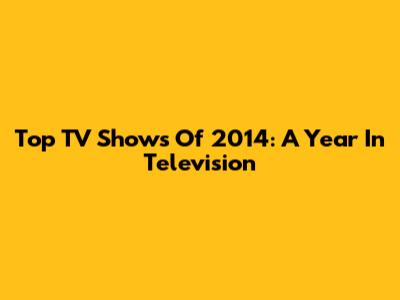 Top TV Shows Of 2014: A Year In Television