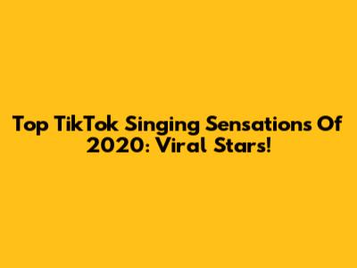 Top TikTok Singing Sensations Of 2020: Viral Stars!