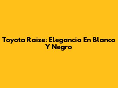 Toyota Raize: Elegancia En Blanco Y Negro