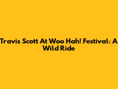 Travis Scott At Woo Hah! Festival: A Wild Ride