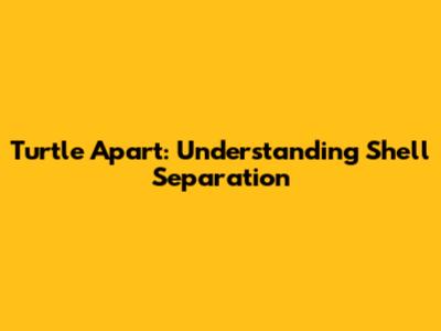 Turtle Apart: Understanding Shell Separation