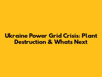 Ukraine Power Grid Crisis: Plant Destruction & What's Next