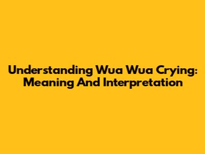 Understanding 'Wua Wua' Crying: Meaning And Interpretation