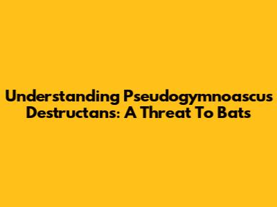 Understanding Pseudogymnoascus Destructans: A Threat To Bats