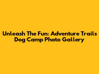 Unleash The Fun: Adventure Trails Dog Camp Photo Gallery