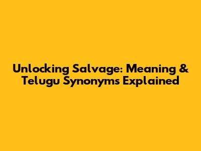 Unlocking 'Salvage': Meaning & Telugu Synonyms Explained