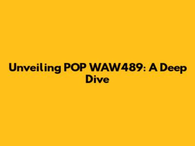 Unveiling POP WAW489: A Deep Dive