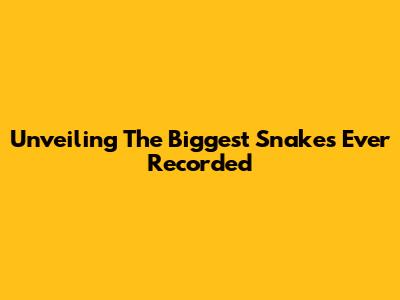 Unveiling The Biggest Snakes Ever Recorded