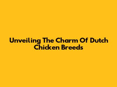 Unveiling The Charm Of Dutch Chicken Breeds