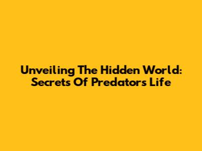 Unveiling The Hidden World: Secrets Of Predator's Life