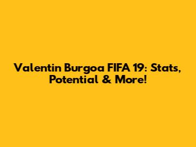 Valentin Burgoa FIFA 19: Stats, Potential & More!
