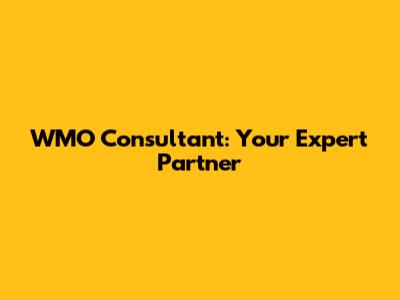 WMO Consultant: Your Expert Partner