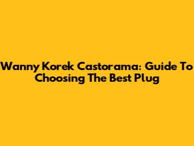 Wanny Korek Castorama: Guide To Choosing The Best Plug