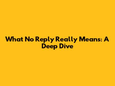 What 'No Reply' Really Means: A Deep Dive