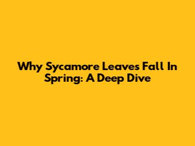 Why Sycamore Leaves Fall In Spring: A Deep Dive