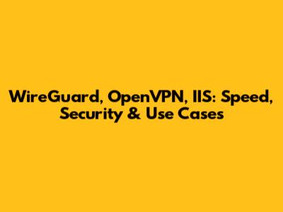 WireGuard, OpenVPN, IIS: Speed, Security & Use Cases