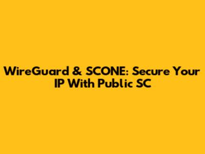 WireGuard & SCONE: Secure Your IP With Public SC
