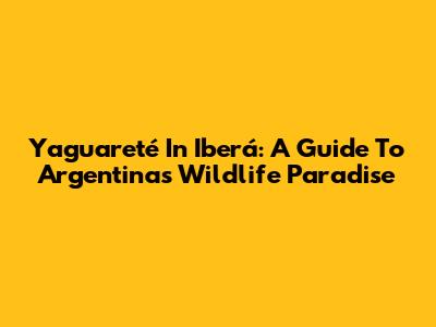 Yaguareté In Iberá: A Guide To Argentina's Wildlife Paradise