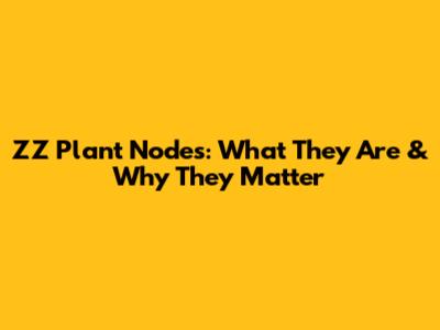 ZZ Plant Nodes: What They Are & Why They Matter