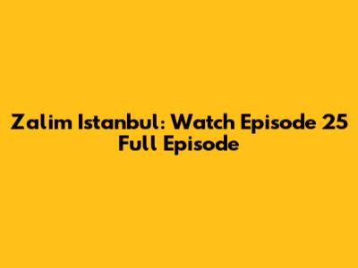 Zalim Istanbul: Watch Episode 25 Full Episode
