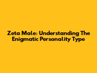 Zeta Male: Understanding The Enigmatic Personality Type