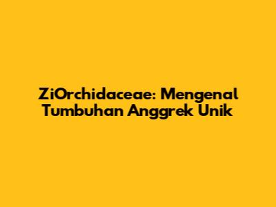 ZiOrchidaceae: Mengenal Tumbuhan Anggrek Unik